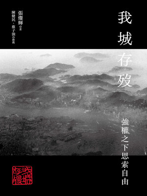 cover image of 我城存歿